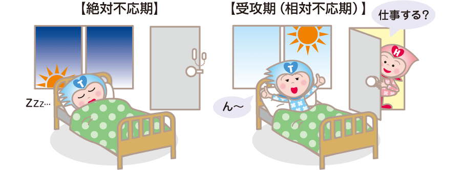 不応期に影響を与える要因