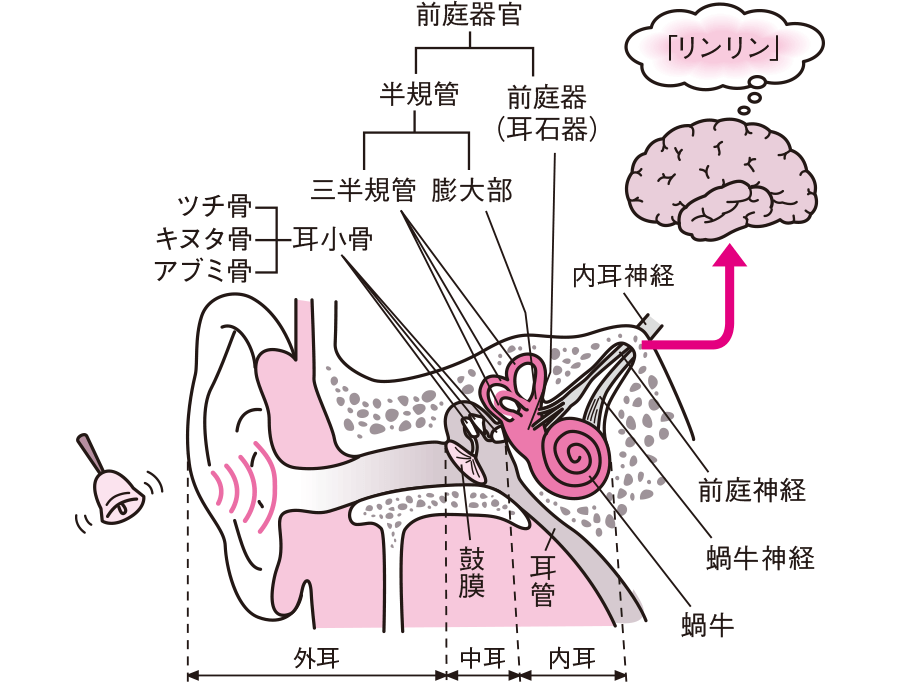 内耳の状態