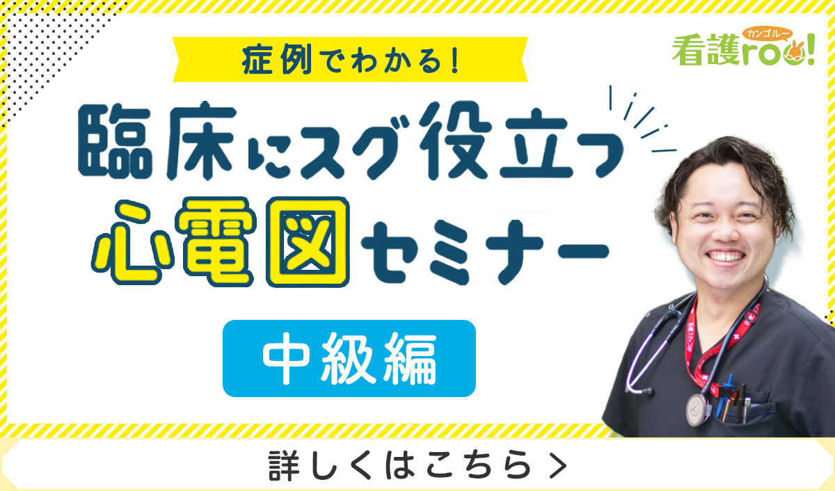 心電図セミナー中級編