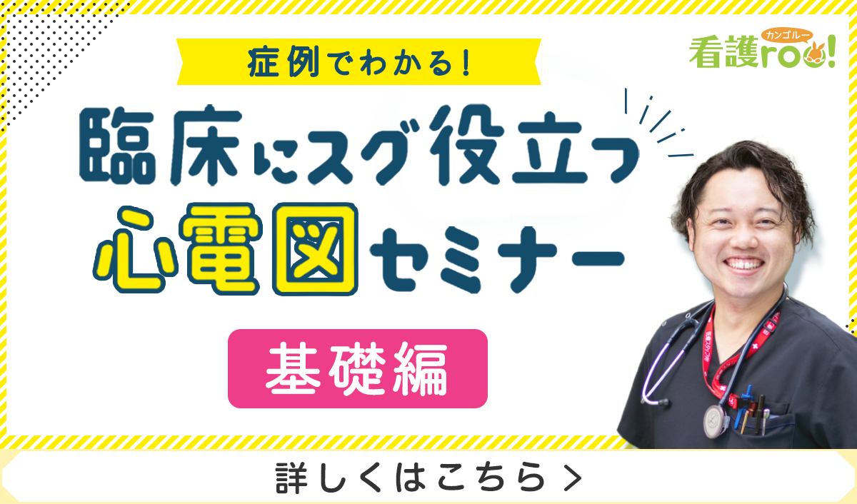 心電図セミナー基礎編