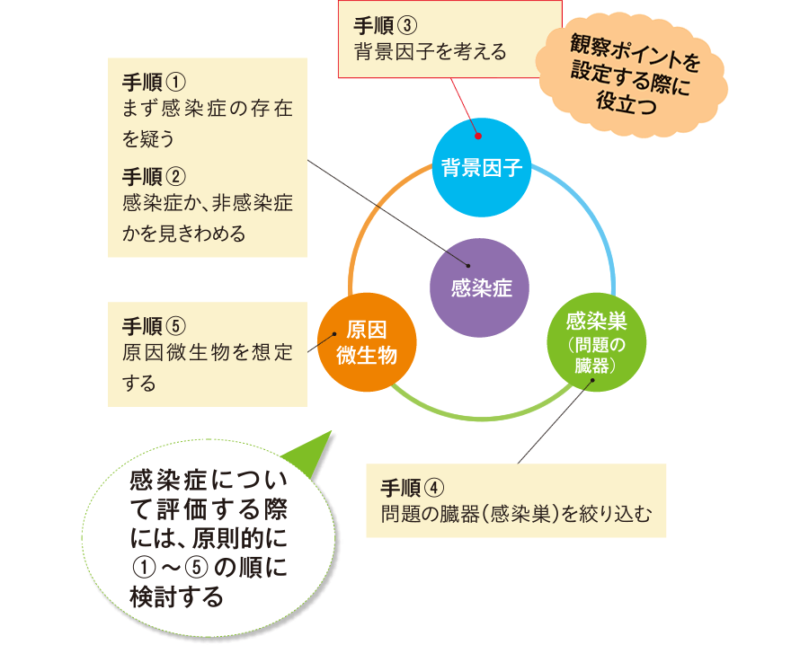 感染症にかかわる事象と患者の評価の手順