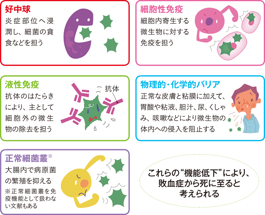 免疫の機能(一例)