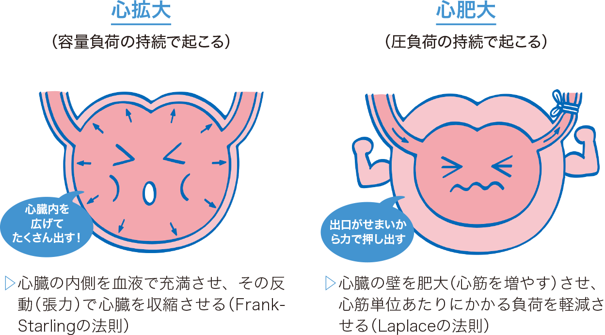 原因と危険因子