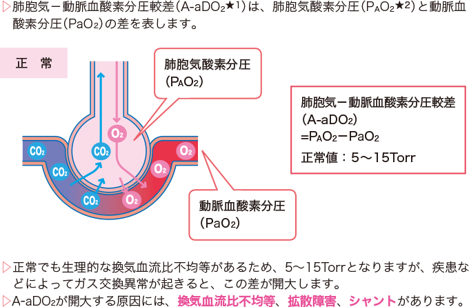  ABG テストの結果は何を意味しますか?