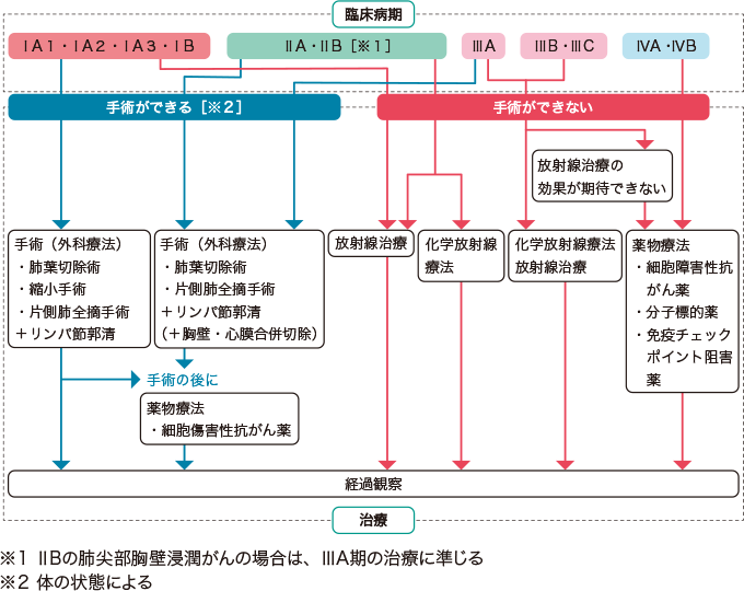 人種的および民族的差異の進行